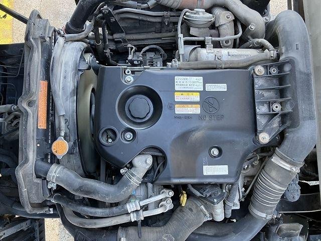 
								ISUZU ELF 2010 DUMP TRUCK full									