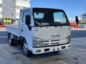ISUZU ELF 2010 DUMP TRUCK